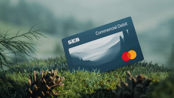 SEB Commercial Debit