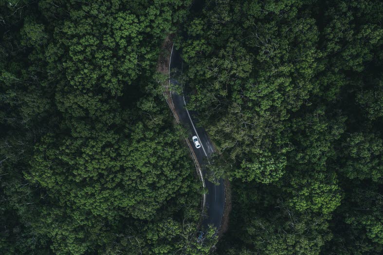 Drönarbild tagen ovanifrån på en vit bil som kör på en asfalterad väg i skogen Drönarbild tagen ovanifrån på en vit bil som kör på en asfalterad väg i skogen