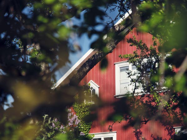 Röd villa i solsken bakom grönska.