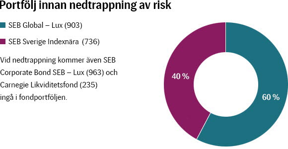 Bild på graf som visar portföljen.
