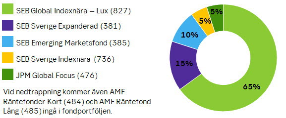 Bild på graf som visar portföljen.