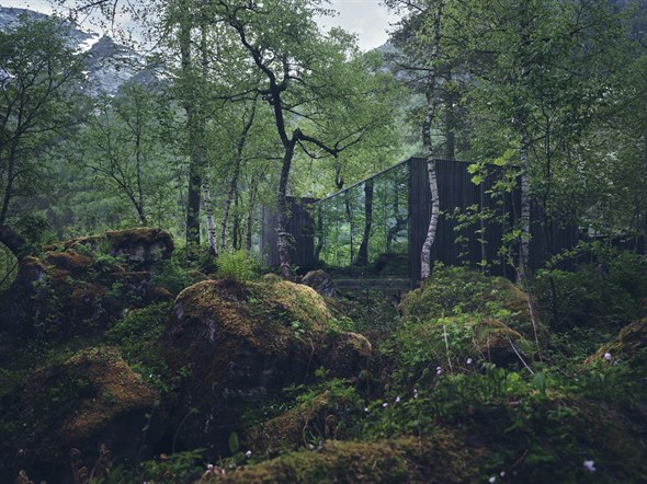 Hus mitt i en grön skog.