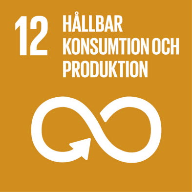 Nr 12. Hållbar konsumtion och produktion