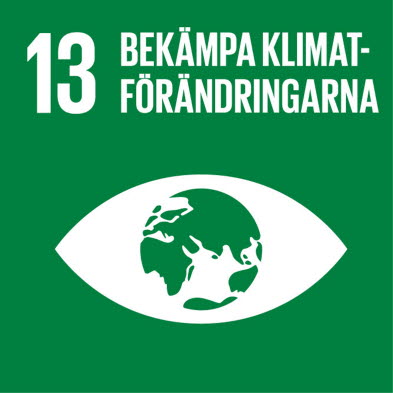 Nr 13. Bekämpa klimatförändringarna