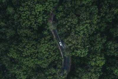En bil som kör på en väg omgiven av tät skog.