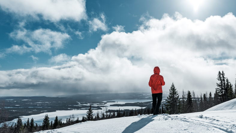 En person i röd skidställ står på toppen av ett berg och blickar över den soliga dalen.