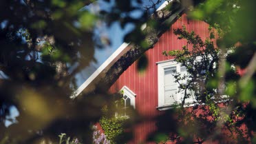 Röd villa i solsken bakom grönska.