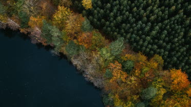 En bild tagen ovanifrån där man ser en skog och en sjö. Bladen på träden i skogen är färgade av hösten.