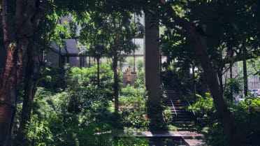 Grönskande innergård med trappor i en stad.