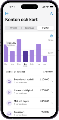 På fliken Utgifter kan du se ett diagram vart dina pengar tar vägen.