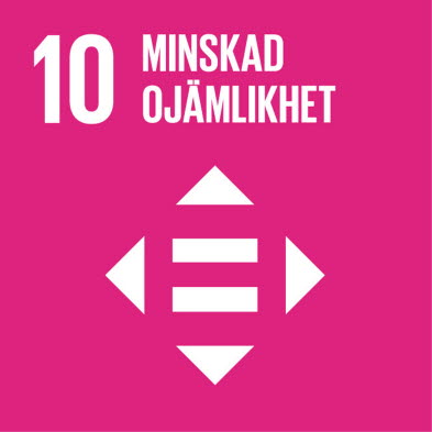 Nr 10. Minskad ojämlikhet